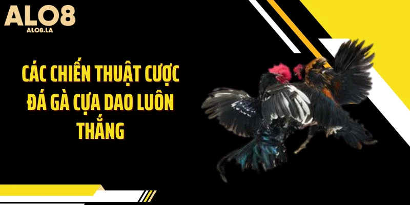 Các chiến thuật cược đá gà cựa dao luôn thắng