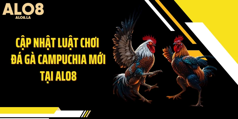 Cập nhật luật chơi đá gà Campuchia mới tại ALO8
