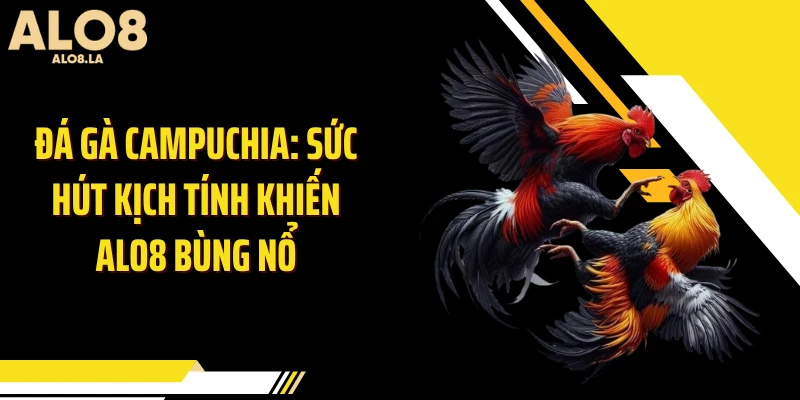 Đá Gà Campuchia: Sức Hút Kịch Tính Khiến ALO8 Bùng Nổ