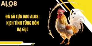 Đá Gà Cựa Dao ALO8: Kịch Tính Từng Đòn Hạ Gục