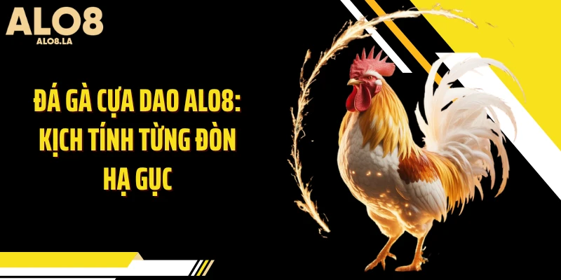 Đá Gà Cựa Dao ALO8: Kịch Tính Từng Đòn Hạ Gục
