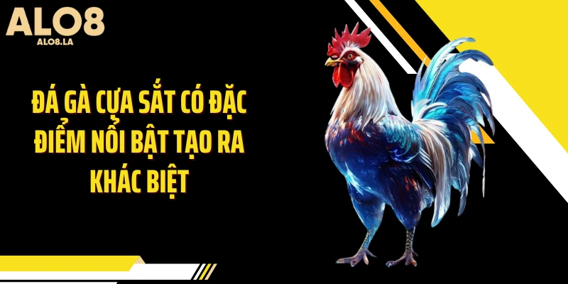 Đá gà cựa sắt có đặc điểm nổi bật tạo ra khác biệt