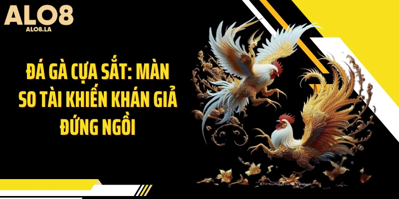 Đá Gà Cựa Sắt: Màn So Tài Khiến Khán Giả Đứng Ngồi