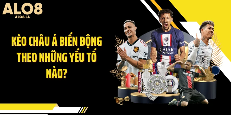 Kèo châu Á biến động theo những yếu gì nào?