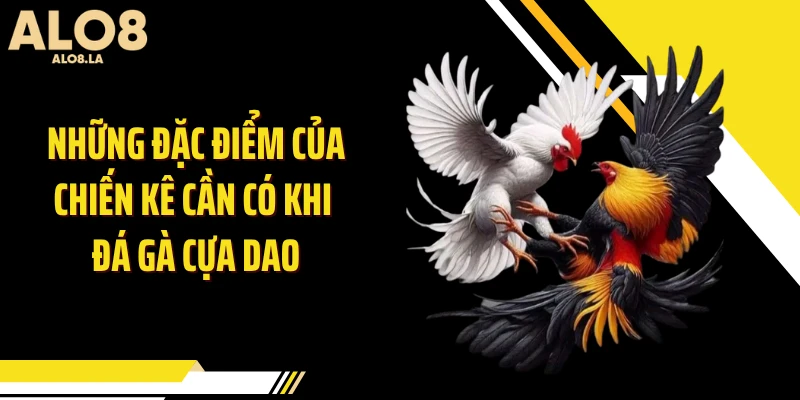 Những đặc điểm của chiến kê cần có khi đá gà cựa dao