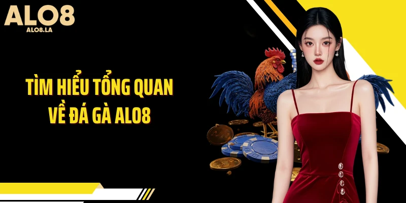 Tìm hiểu tổng quan về đá gà Alo8