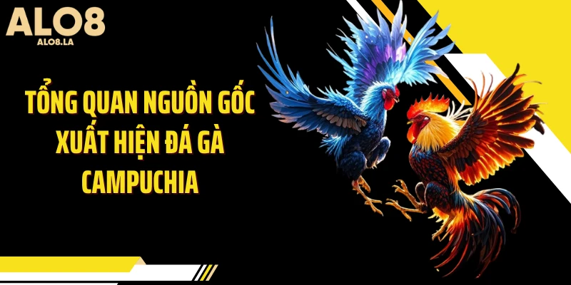 Tổng quan nguồn gốc xuất hiện đá gà Campuchia
